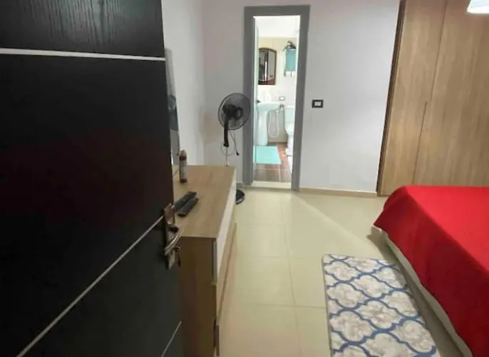 Rent One * Vlore